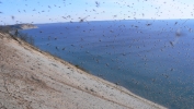 PICTURES/Sleeping Bear Dunes Natl. Seashore, MI/t_Dune Overlook View21.JPG